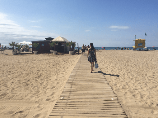 31301463_10160515672635650_6467329477637570560_n